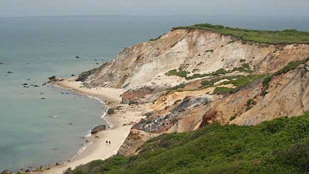 A coastal landscape with a beach, cliffs, and greenery. - Cozy Beach Cottage (Oak Bluffs)