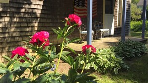 A wooden house with a porch, an American flag, and a garden with pink flowers. - Cozy Beach Cottage (Oak Bluffs)