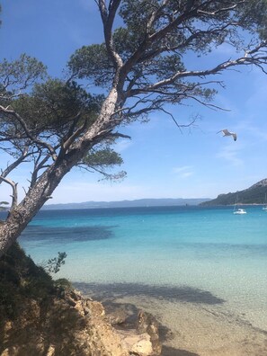 Un paisaje costero con aguas turquesas cristalinas, una costa rocosa y un árbol destacado con ramas que se extienden sobre el agua.