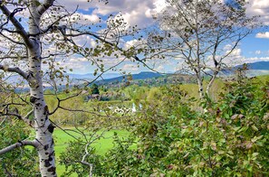 Property grounds - Mountain Town home (Steamboat Springs)