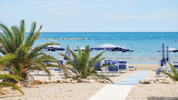 Una playa con palmeras, sombrillas azules y sillones de descanso.