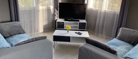 Télévision, cheminée, jeux vidéo, espaces bureaux