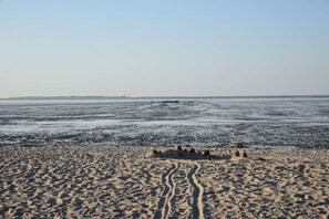 Playa en los alrededores