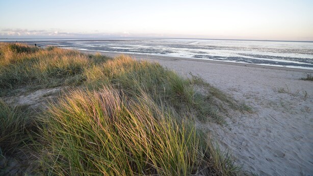 A beach with sand dunes and a clear view of the ocean. - Familienferienhaus Mare Frisium, Meerblick, am Deich, Waschtrockner, Sauna, Ofen (Wangerland)