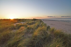 Beach nearby - Familienferienhaus Mare Frisium, Meerblick, am Deich, Waschtrockner, Sauna, Ofen (Wangerland)