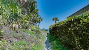 Un sentier étroit bordé d’une végétation dense et un bâtiment situé sur la droite.