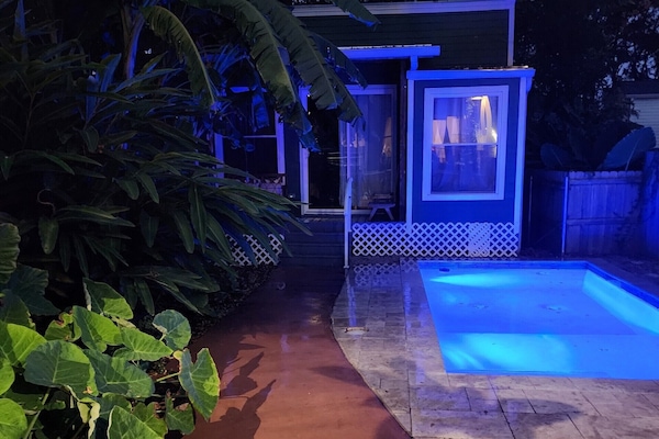 Time For a Night Swim!