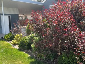 Property grounds - Mystic Manor Monroe 4 Bed Farm House- 10 min walk to Hot springs (Monroe)