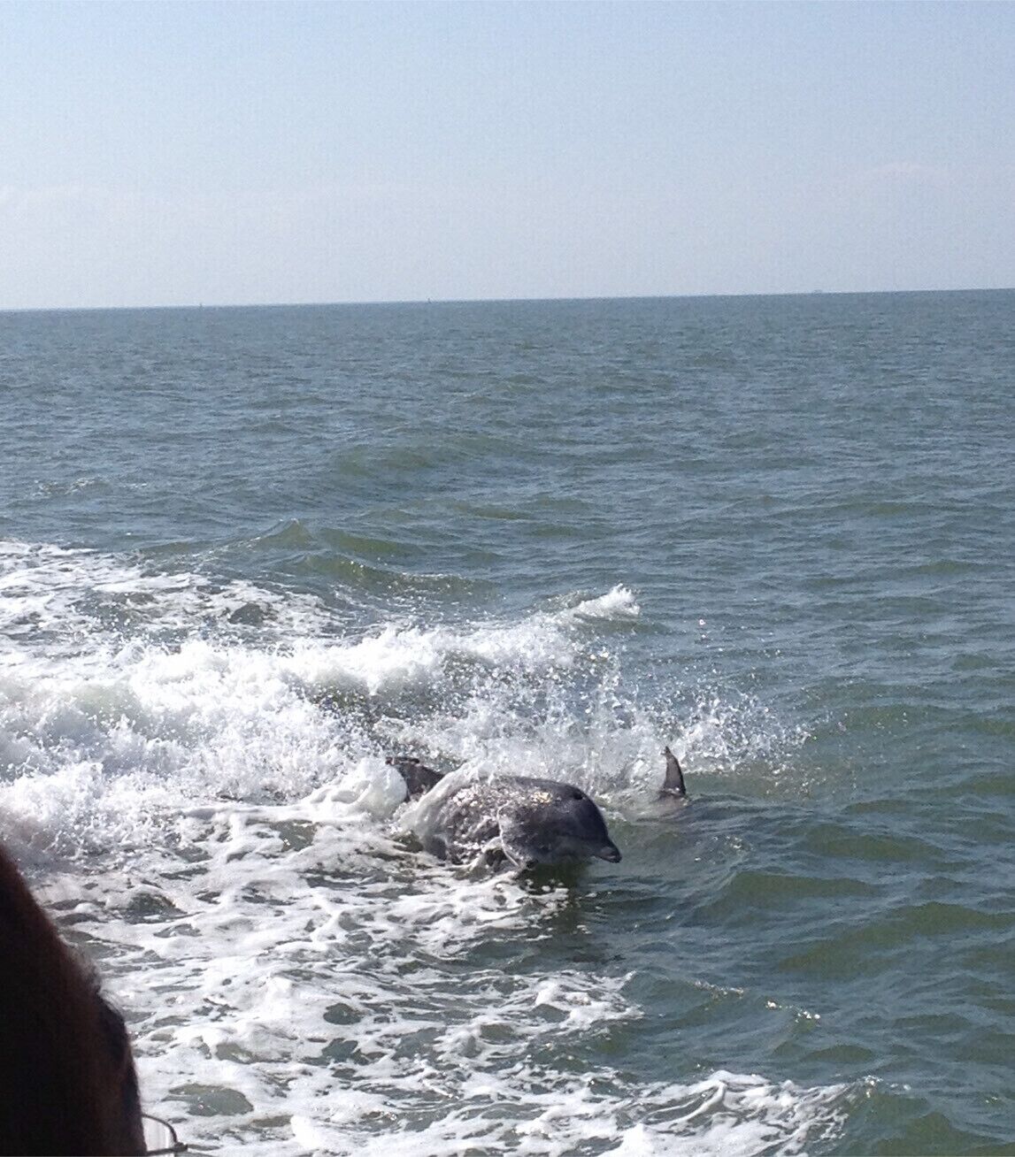 En delfin springer op af vandet i nærheden af en båd.