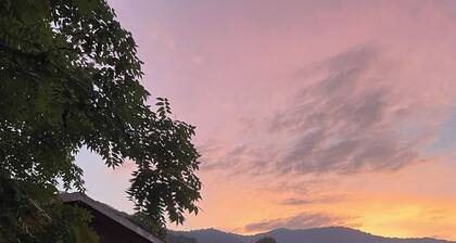 Farm Life! The Rosemary Cabin at Bluff Mountain Nursery
