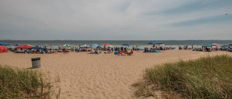 On the beach