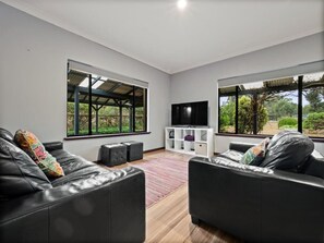 Smart TV, fireplace, Netflix, ping pong