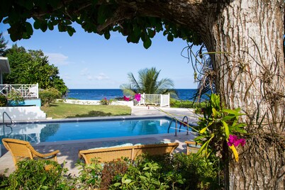 Bougan Blu -  Beach front cottage , Port Maria , St. Mary