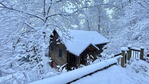 Una cabaña de madera rodeada de árboles cubiertos de nieve.