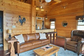 Smart TV, chimenea, reproductor de DVD y libros 