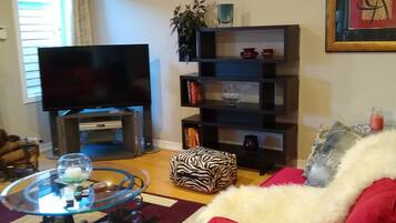 TV connectée, cheminée, lecteur de DVD, livres