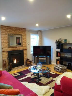 Smart TV, fireplace, DVD player, books