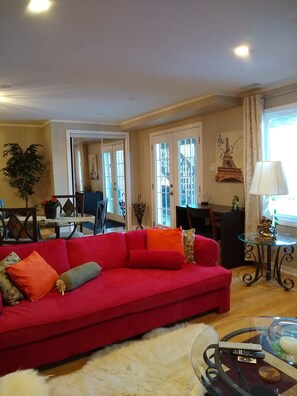 Smart TV, fireplace, DVD player, books