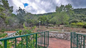 A courtyard with a stone wall, green metal railings, and a variety of trees and shrubs. - Cotoncello in a panoramic position (Marciana)