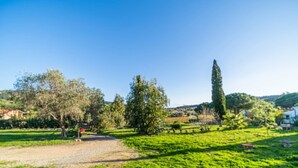 Een landelijk landschap met een grindpad, groene velden en verspreide bomen.