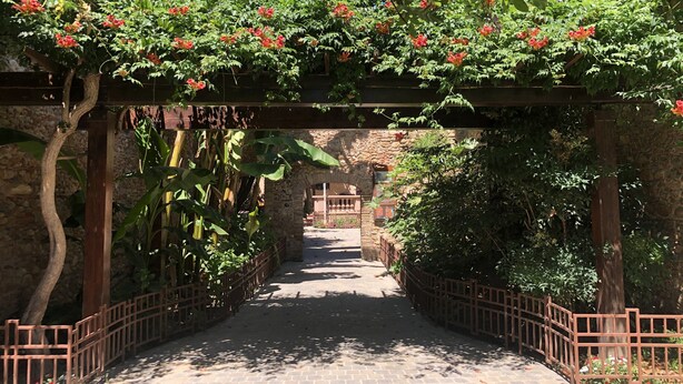 Een pad van stenen loopt door een tuin met een houten pergola, overdekt met rode bloemen.