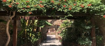 Carrer Del Sol ( in Roussillon, not in Camargue).