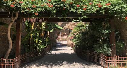 Carrer Del Sol ( dans le Roussillon, pas en Camargue).