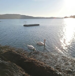 Beach nearby - Harbourside House, Beara Way, Wild Atlantic Way (Glengarriff)