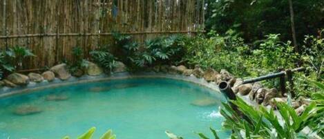 A clear pool surrounded by rocks and lush greenery.