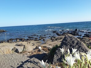 Ranta