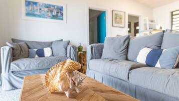 TV, Netflix, DVD player, streaming services