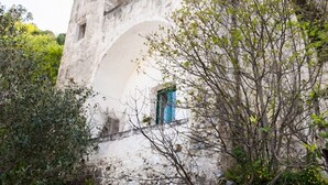 Ein rustikales Gebäude mit weißer Fassade, einem kleinen Fenster mit blauem Rahmen und üppiger Vegetation darum herum.