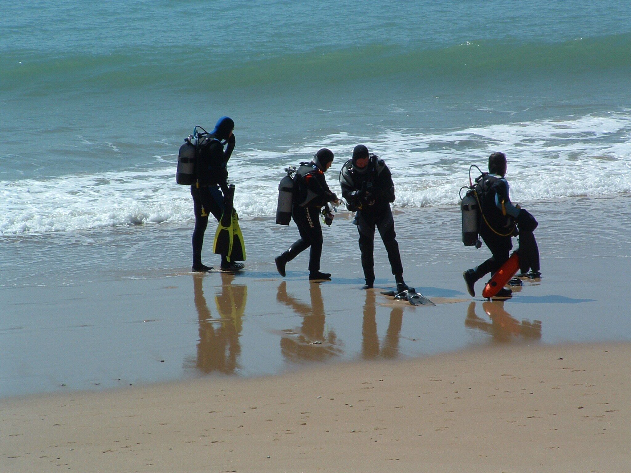 Cuatro buzos caminando sobre una playa arenosa, con olas del océano al fondo.