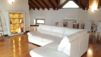 Flat-screen TV