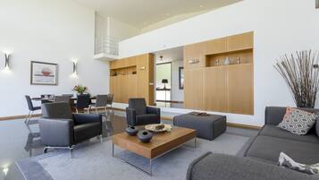 TV connectée, cheminée, lecteur de DVD, livres