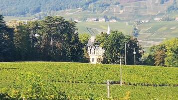 Cottage Confort, salle de bains attenante, vue jardin | Extérieur