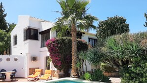 Un área junto a la piscina con un edificio blanco, una palmera y un cactus.