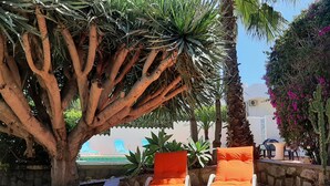 Un patio con dos sillones naranjas, un árbol grande y diversas plantas.