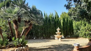 Un jardín con una fuente, palmeras y un camino de grava.