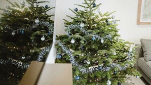 Un albero di Natale decorato con ornamenti e luci, un divano e un quadro appeso al muro.