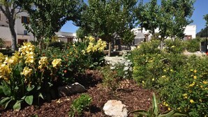 A garden with various plants and flowers, including yellow and white blooms, and trees.