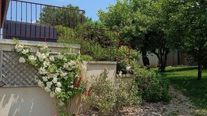 Um jardim com diversas plantas e um muro de pedra.