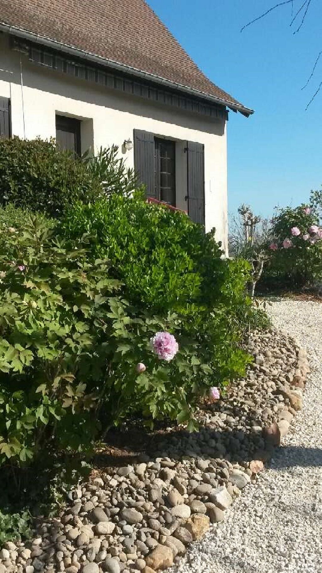 Ett hus med ett tak täckt av tegelpannor, en grusuppfart och en trädgård med grönt lövverk och rosa blommor.