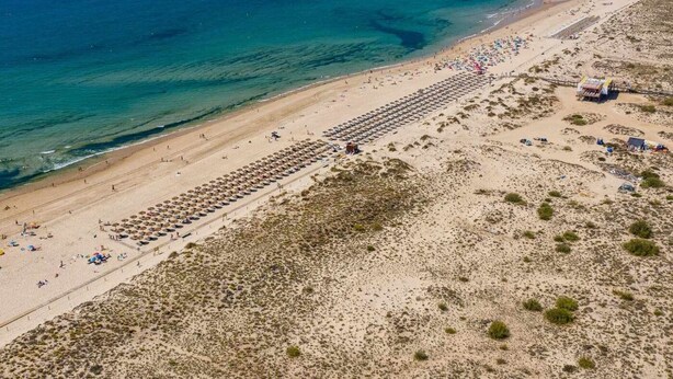 Une vue aérienne d’une plage avec des rangées de transats et de parasols, un rivage sablonneux et une mer bleue et limpide.