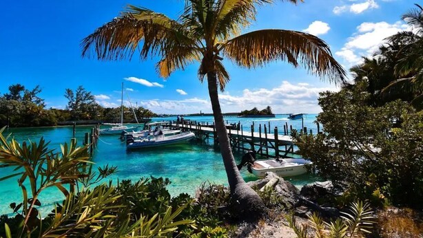 A clear view of a marina with boats docked, a wooden pier, and a palm tree in the foreground. - Hope Town's Top Rental: Beachfront sunsets, AC, free boat dock, & close to town! (Hope Town)