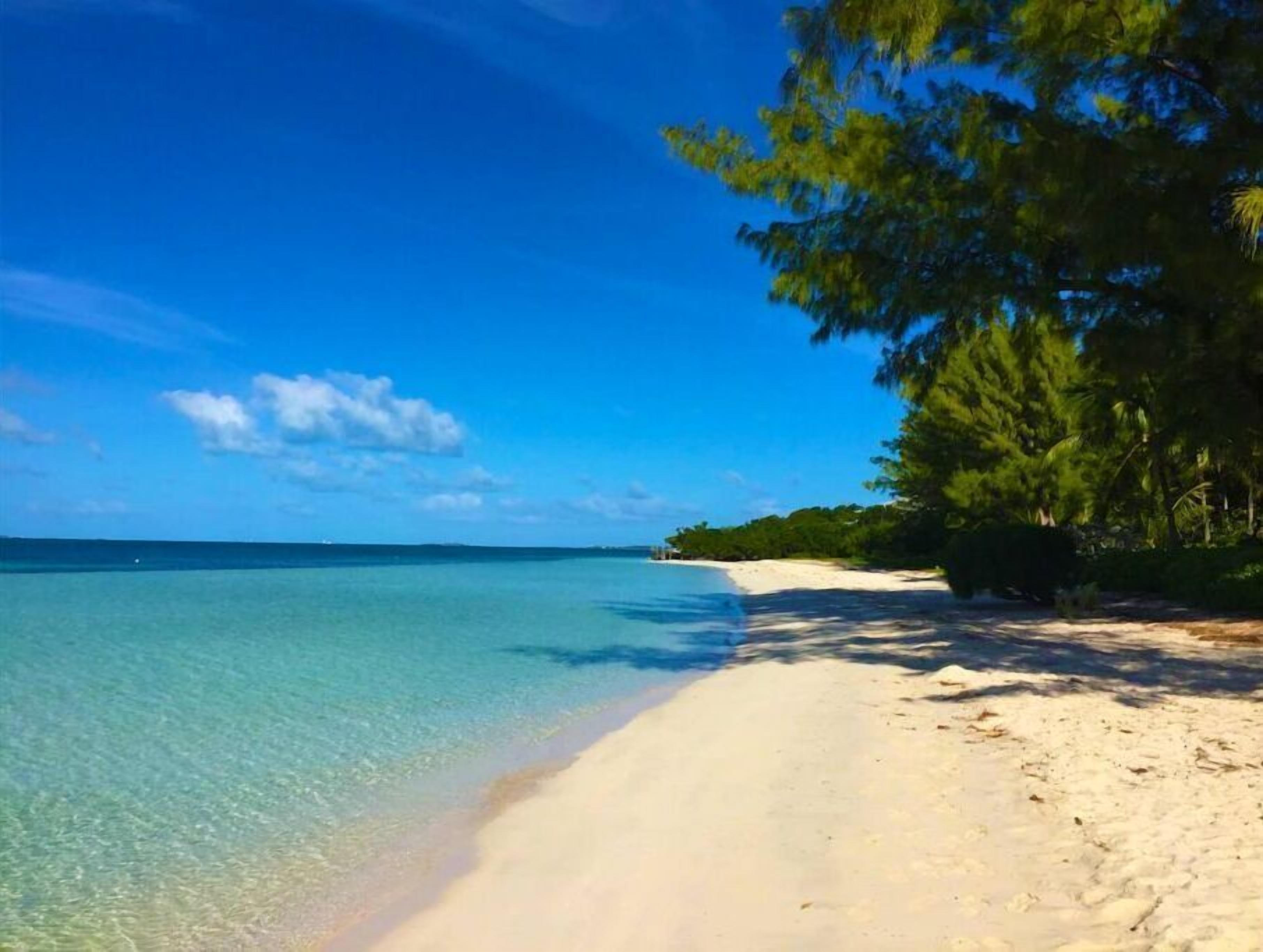 Une plage à l’eau turquoise et limpide, au sable blanc et bordée d’une végétation luxuriante.