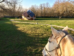 Terrein van de accommodatie