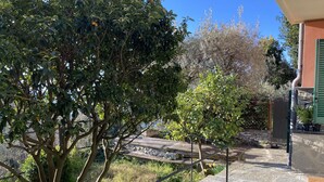 Eine terrasse mit Steinplatten und einem Metallgeländer, umgeben von üppiger Bepflanzung und einem Baum mit orangefarbenen Früchten.