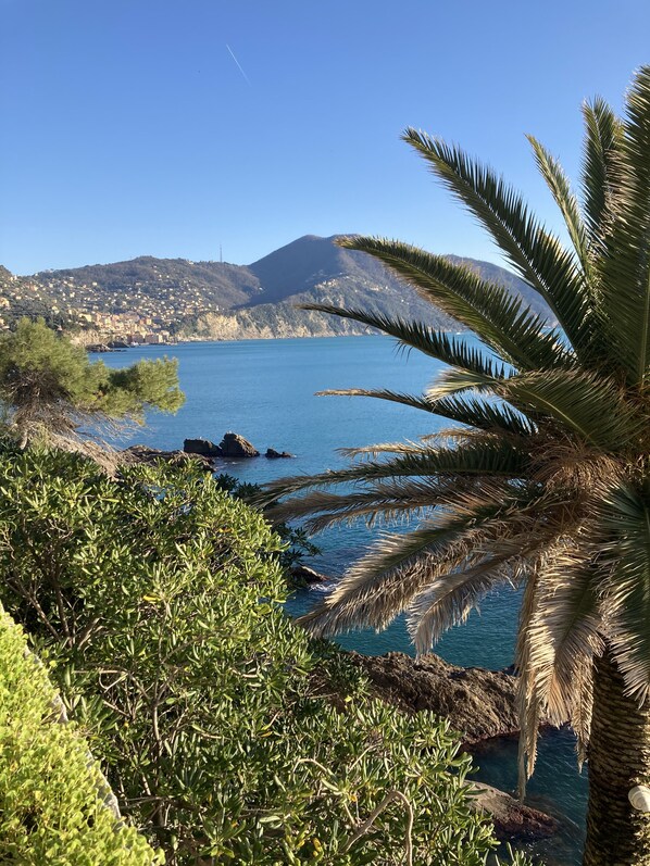 A coastal landscape with a clear view of the sea, rocky shoreline, and a distant mountain range.