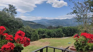 A scenic view from a balcony with red flowers in the foreground, a grassy area, and a distant mountain range under a clear sky.